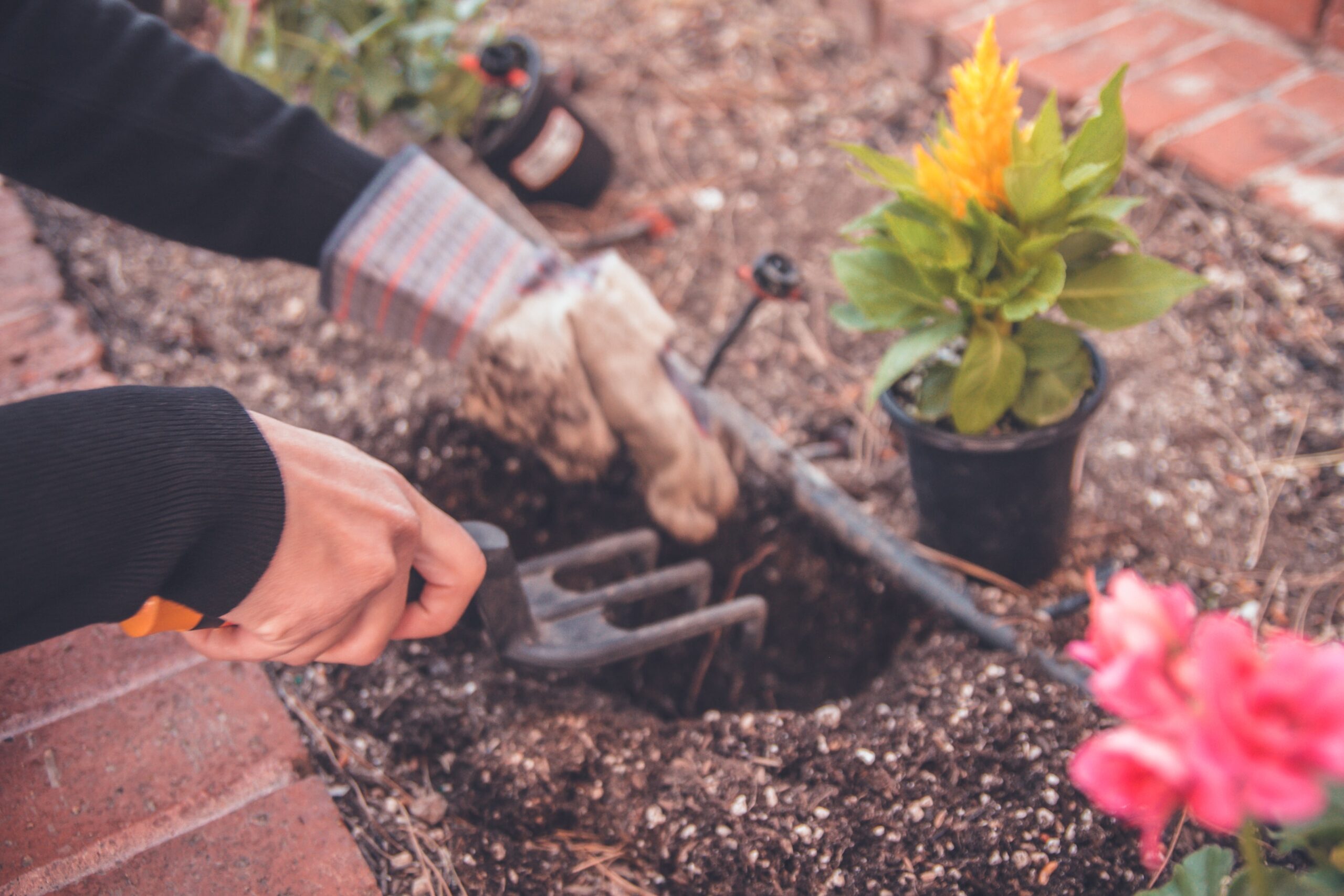 Lugarde gardenmaintenance august