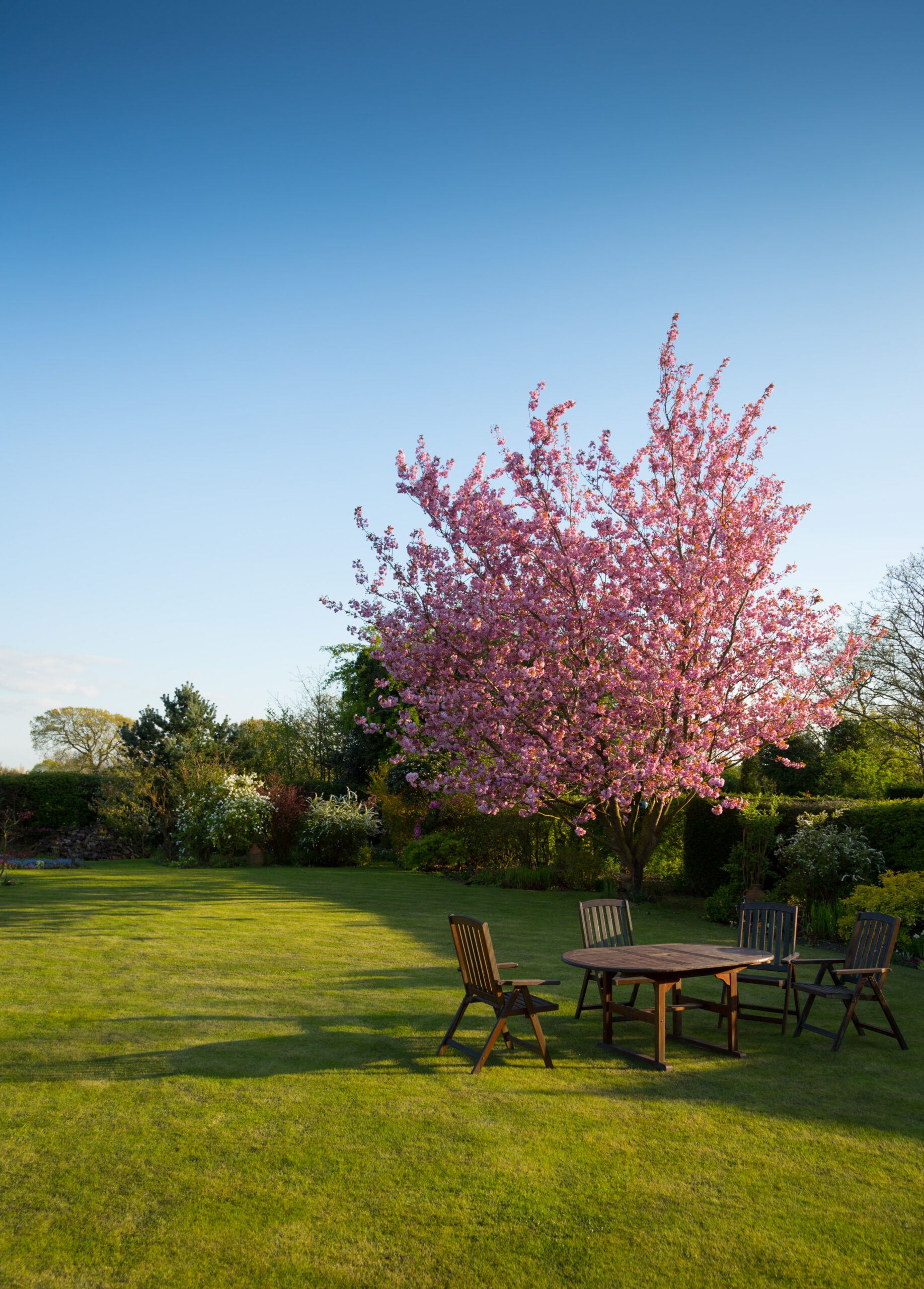 woodpro garden tree furniture