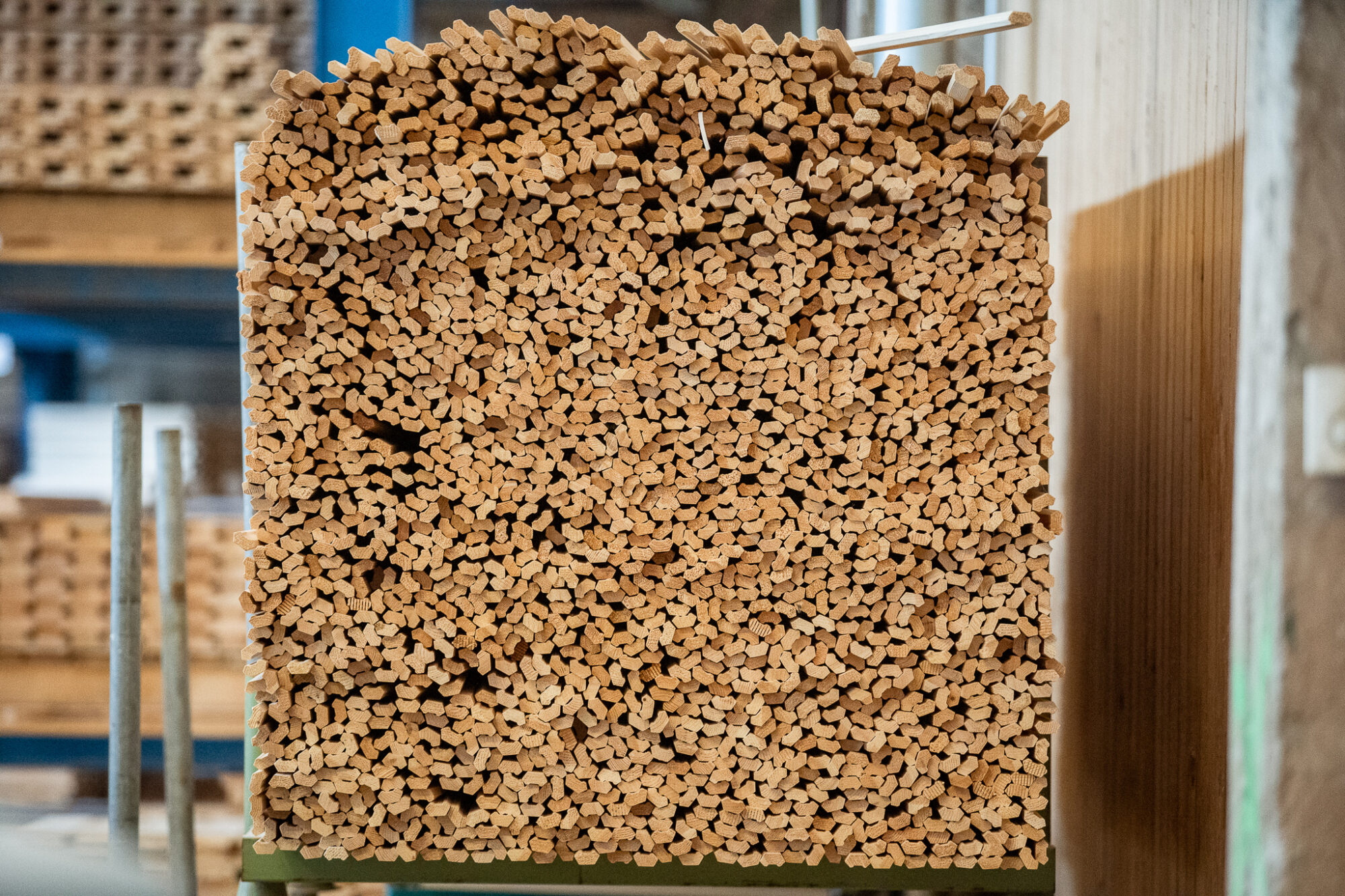 The timber of Woodpro